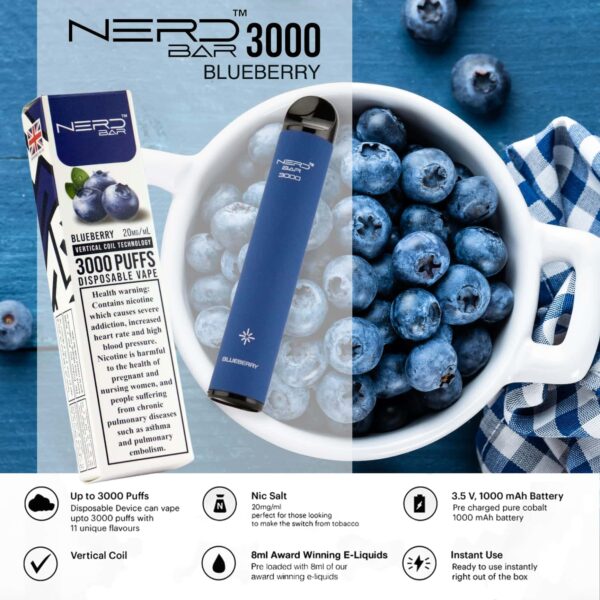 Nerd Bar 3000 Puffs Vape Blueberry